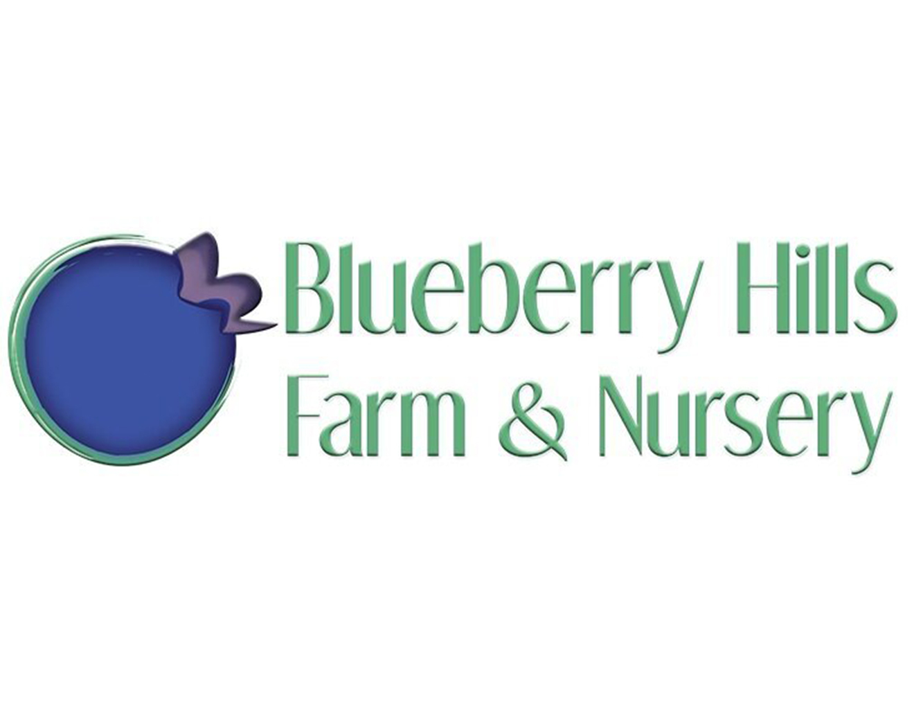 blueberry-hills-nursery-logo