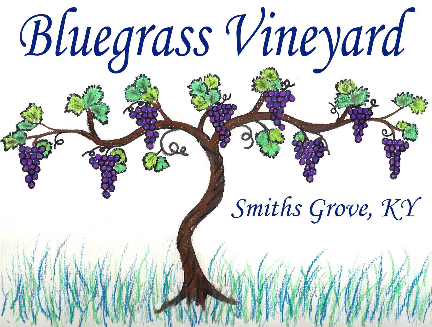 bluegrass-vineyard